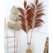 Simak inspirasi hiasan daun kering di laman yang satu ini! Rayung Natural Leaf Bundling 3pcs Daun Rayung Bunga Daun Kering Dried Flower Shopee Indonesia