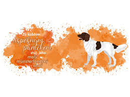 Image result for Malý münsterlandský ohař