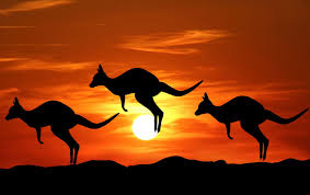 Kangaroo Sunset Silhouette Sunset Silhouette Animal Silhouette Silhouette Painting