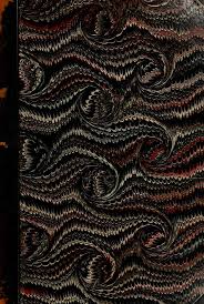 Palaeontographia Italica : Memorie di paleontologia