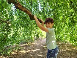 Find more ways to say pose, along with related words, antonyms and example phrases at thesaurus.com, the world's most trusted free thesaurus. Samsung Galaxy Note 20 Ultra Sample Images Photography Blog