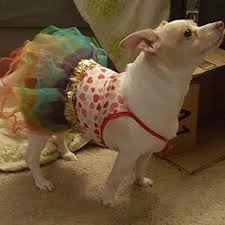 Connor Johns (@Connor_Johns)