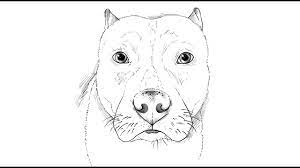 We did not find results for: How To Draw A Pitbull Dog Youtube