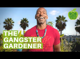 Pin By Sylvia Vargas On Garden Ideas Gangster Finley Ron