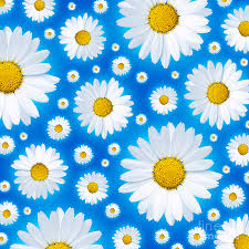 We did not find results for: A Pattern Of Isolated White Daisy Flower On A Blue Background Photograph By Phill Thornton