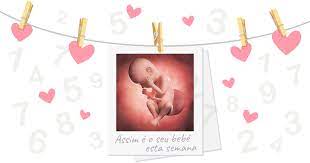 37 Semanas De Gravidez O Meu Bebe