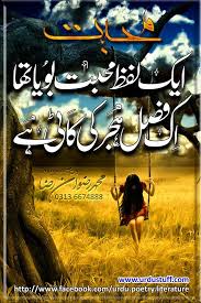 ایک لفط محبت بویا تھا اک فصل ہجر کی کاٹی ہے Urdu Poetry Poetry Sufi