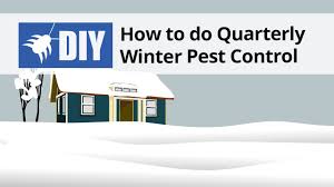That is why it is best to ensure that winter pests never gain access to your home with professional services. How To Do A Quarterly Winter Pest Control Treatment Domyown Com Youtube