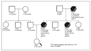 Here's an image of the most common symbols used when constructing a pedigree: Taking And Recording A Family History The British Society For Genetic Medicine