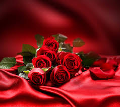 55 beautiful flower pictures for your inspiration. Roses Beautiful Flowers Love Red Romantic Silk Background Hd Wallpaper Peakpx