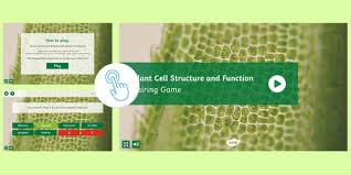 Differences between a plant and an animal cell. Plant Cell Structure And Function Game