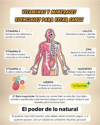 vitaminas y minerales esenciales para mantenerte saludable, con sus  funciones principales y fuentes naturales 🌱: ✓ Vitaminas Esenciales: 🟣 1.  Vitamina A • Función: Mejora la visión, fortalece el sistema inmune. •