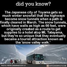 Here are some of the best models to choose from. 8 Cold Hard Facts About Winter