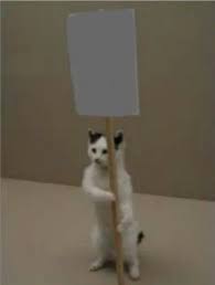 Pin By Mikasa7 On اوزوي In 2020 Anime Art Girl Art Girl Anime Art