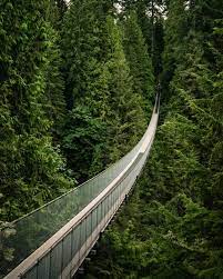 Maybe you would like to learn more about one of these? 25 Best Things To Do In Vancouver British Columbia Canada