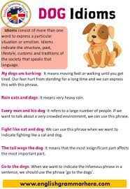 English Dog Idioms Definition And Examples Dog Idioms Proverbs And Idioms Are A Big Part Of English It Is Very Idioms Learn English Learn English Vocabulary