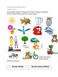 Lembaran kerja (tahun 1) latihan. Lembaran Kerja Dst Tahun 1 Docx Benda Hidup Dan Bukan Hidup
