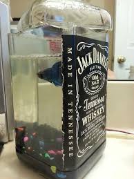 Pin By Mauricio Souza On Today Is My Birthday Jack Daniels Bottle Liquor Bottle Crafts Alcohol Bottle Crafts