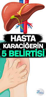 Dayana Kurt Adli Kullanicinin Faydali Ve Sifali Panosundaki Pin Saglik Saglikli Yasam Tarzi Saglikli Yasam