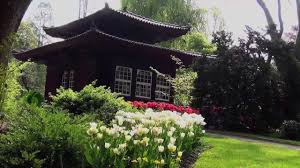 Die jahresgartentickets sowie das kurticket erhalten sie in der touristinformation bad langensalza. Japanischer Garten Leverkusen Japanese Garden Youtube