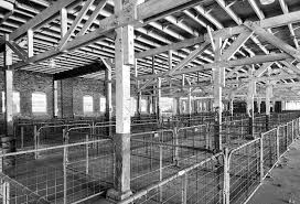 O The days are long,