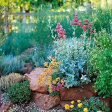 Colorful Planting Partners When Designing Your Rock Garden Think Of The Space As A Series Of Eye Rock Garden Design Rock Garden Plants Landscaping With Rocks