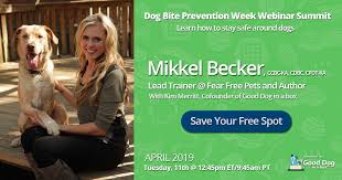 Pheromones to help pets cope with holiday stress october 22, 2020, at 8 p.m. Dog Bite Prevention Week 2019 How To Stay Safe Around Dogs Good Dog In A Box