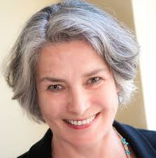 Senate District 23 election a 3-way contest