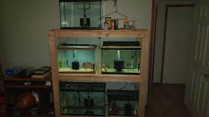 Wine rack, desks, dressers, drawers, entertainment units, futons My Diy Fish Tank Rack Album On Imgur