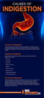 Pin On Gut Health