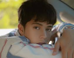 WATCH: Kyle Echarri and Seth Fedelin debut new music video