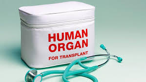 Image result for Transplantation