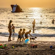 Maybe you would like to learn more about one of these? Pet Friendly Hotel Resorts In Dubai Uae Family Holiday Destinations From Dubai Beach Getaways From Dubai Beach Dubai Resorts Dubai Beach Beach Hotel And Resort