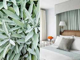 See more ideas about sage living room, room colors, living room green. 15 Ways To Decorate With Soft Sage Green Hgtv