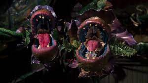 Ici, vous pouvez garder vos yeux ouverts pour t�l�charger gratuitement ou à partir de votre propre appareil. 13 Beau Degueulasse La Petite Boutique Des Horreurs 1986 Youtube