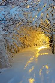 Sunrise In The Snowy Woods By Roberto Melotti Winter Landscape Winter Scenery Winter Scenes