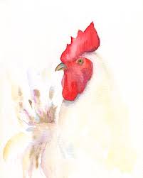 Check spelling or type a new query. Rooster Original Watercolor Painting Rooster Kitchen Decor Chicken Paintings Kitchen Decor Barnya Painting By Watercolor Poetry