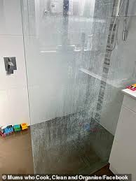 We did not find results for: Mum Leaves Her Shower Screen Sparkling Clean After Trying For Three Years To Get It Looking Perfect Daily Mail Online
