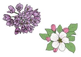 Maybe you would like to learn more about one of these? What Is A Flower Answered Twinkl Teaching Wiki