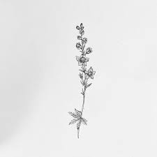 Lil Delphiniums Symbolizing Fun Lightheartedness Joy Delphiniums Fun Joy Kleinetatow Larkspur Tattoo Birth Flower Tattoos Delphinium Tattoo