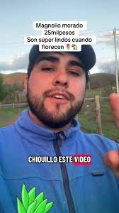 Pasó el dato ajajaja #paratiiiiiiiiiiiiiiiiiiiiiiiiiiiiiii #viraltiktok  #jardineria #campo #magnolio #morado #jardin