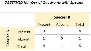 Chi Square Test For Independence Biology For Life