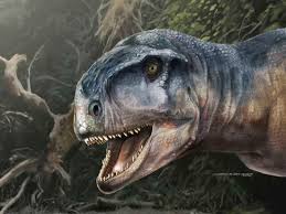 Found a fun youtube video and want to download it? Llukalkan Aliocranianus Dinosaur Discovered In Argentina Npr