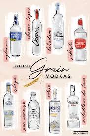 Beginner S Guide To Polish Vodka Best Brands Polonist In 2020 Polish Vodka Best Polish Vodka Vodka