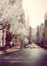 Pin On Somewhere Over Ornot The Rainbow