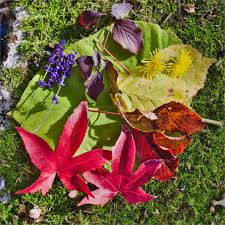 Some of the best quality garden vegetables in oklahoma are produced and harvested during the fall season when. Vegetable Patch And Garden Autumn Garden Tasks Planting Harvest