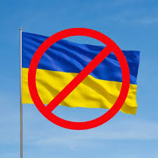 German AfD Leader Alice Weidel Demands Halt to Ukraine Aid - Media Wire  Express