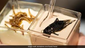 It's hard to decide what we're looking forward to more: Creamy Or Creepy Insect Ice Creams Are A Thing Now Ndtv Food