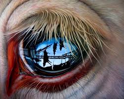 Join three connected lines to the left edge of the oval. 23 Animal Rights Art Ideas Animal Rights Art Vegan Animals