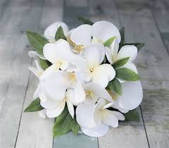 White Tropical Bouquet With Off White Orchids Plumerias Silk Wedding Flowers Beach Wedding Flowers Beach Wedding Bouquets Plumeria Bouquet